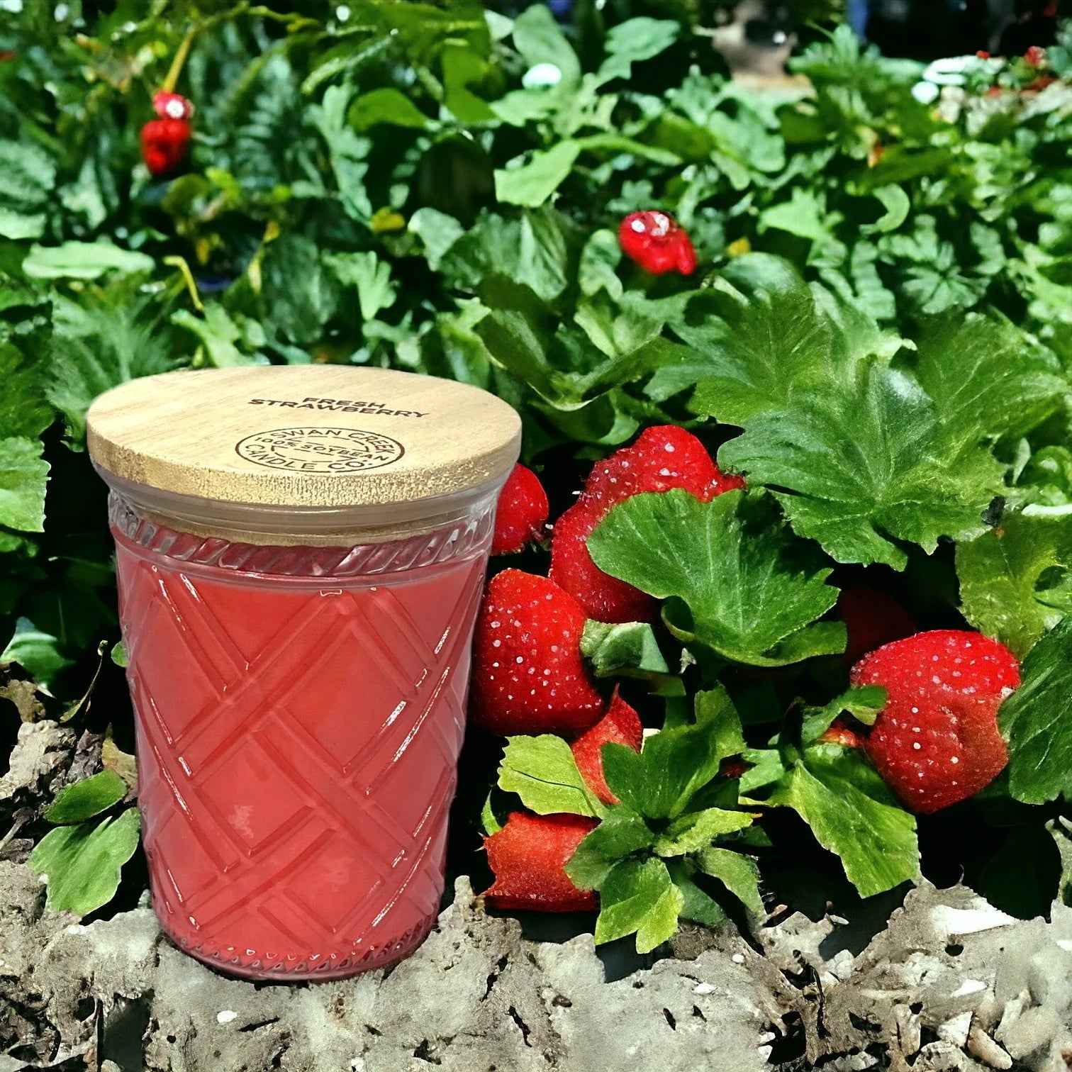 Timeless Jar 12oz Fresh  Strawberry