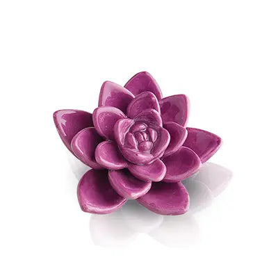 Get Growing! Mini