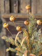 22" Poppy Pod Bush | Mello