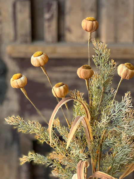 22" Poppy Pod Bush | Mello