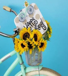 Bicycle Mini Attachment