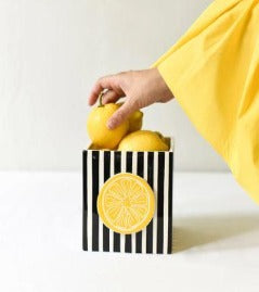 Black Stripe Mini Nesting Cube Medium