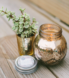 Sweet Grace Collection #008