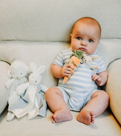 Carrot Rattle