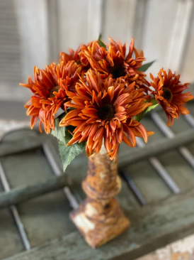 12" Spider Mum Bundle - Rust