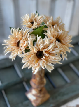 12" Spider Mum Bundle - Dawn