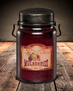 Classic Jar Candle-26oz-MULBERRY